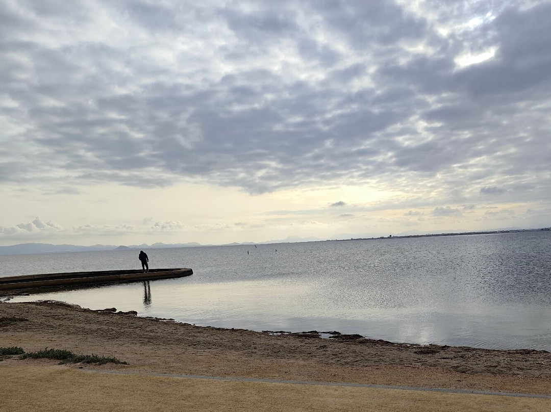 Parque Regional Salinas-San Pedro del Pinatar必去景点