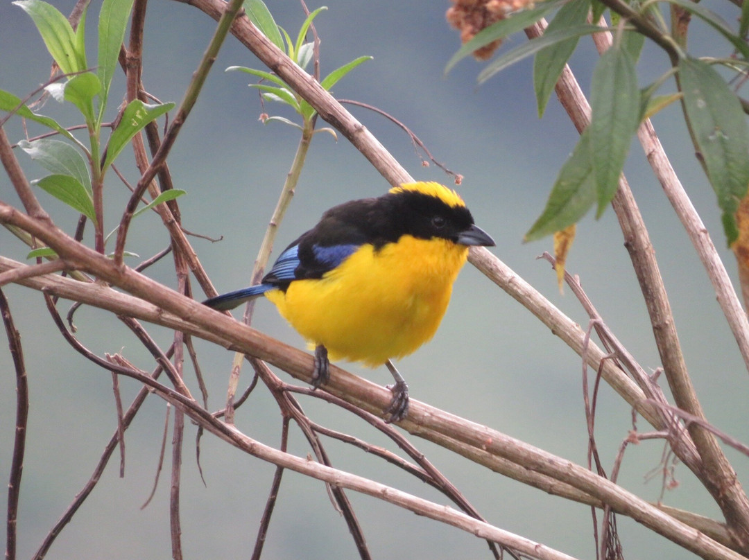 鹰之巢生态小屋