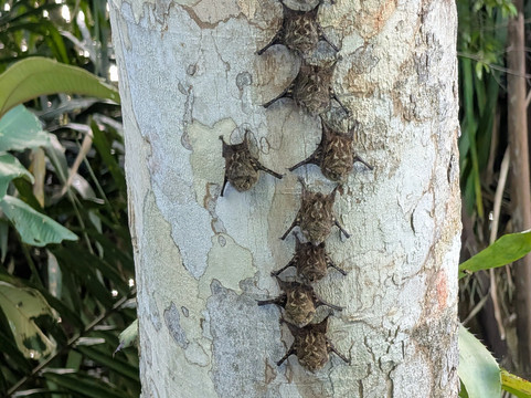 Panama Road Trips-巴拿马城必去景点