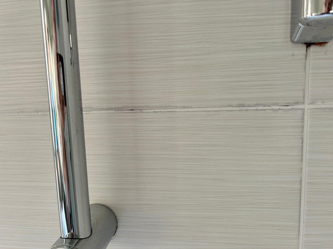 巴特基辛根布里斯托尔酒店主图