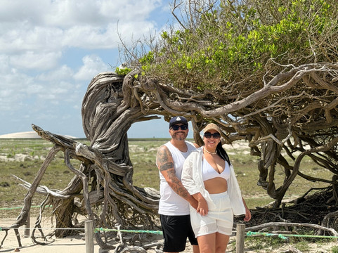 Passeios de Buggy Jeri-杰里科科拉必去景点