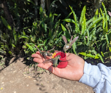 Lincolnjabra-Tumbaco必去景点