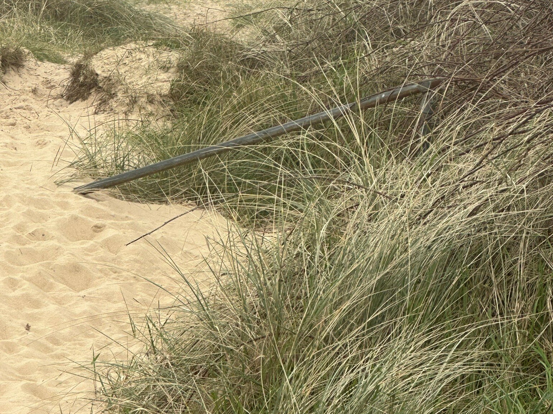 Caister-on-Sea Beach-Caister-on-Sea必去景点
