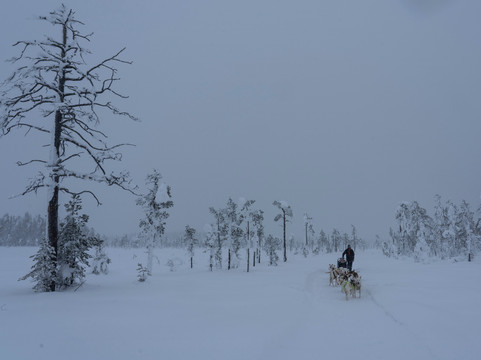 Blueberry Lodge Tours and Activities-Overkalix必去景点