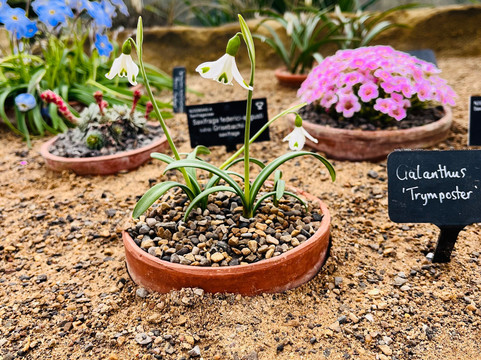 RHS Garden Harlow Carr-哈罗盖特必去景点