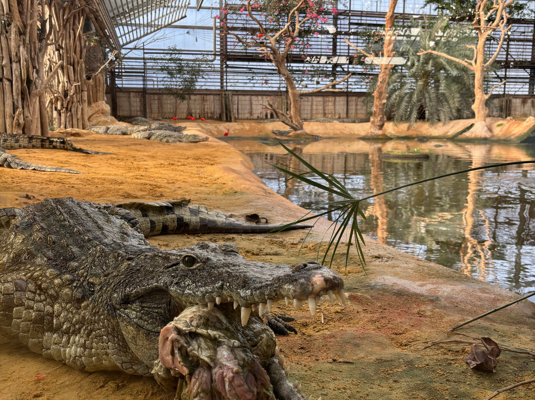 La Ferme Aux Crocodiles-Pierrelatte必去景点