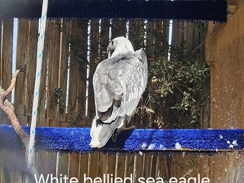 Raptor Refuge-Kettering必去景点