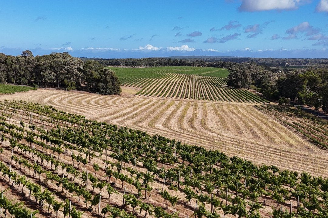 Willespie Estate | Margaret River-Wilyabrup必去景点