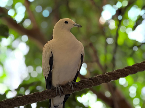 Newquay Zoo-纽奎必去景点