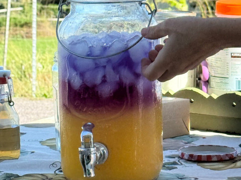 Kalopa Fields Farmstead-霍诺卡阿必去景点