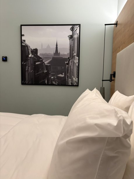 列日市中心丽笙酒店-官方