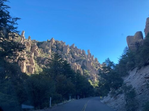 Chiricahua National Monument-Willcox必去景点