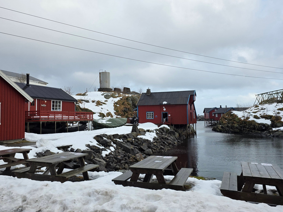 Norwegian Fishing Village Museum-Sorvagen必去景点