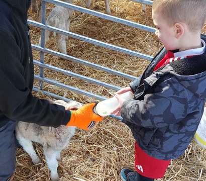 Foel Farm Park-Brynsiencyn必去景点