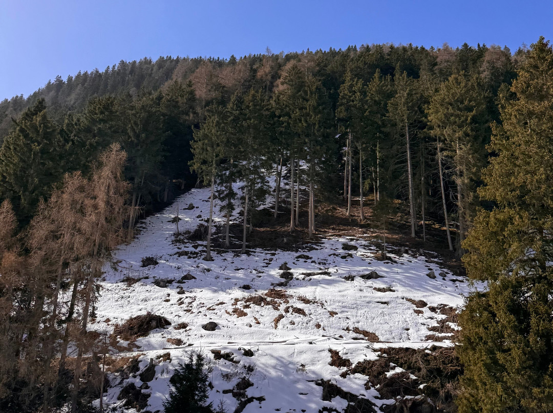 Lago di Resia-Curon Venosta必去景点