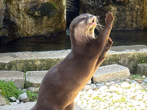 North Georgia Wildlife Park-Cleveland必去景点