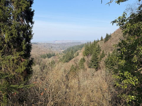 Allen Banks and Staward Gorge-Bardon Mill必去景点