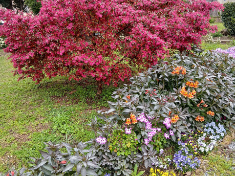 Villa Marie-弗雷瑞斯必去景点