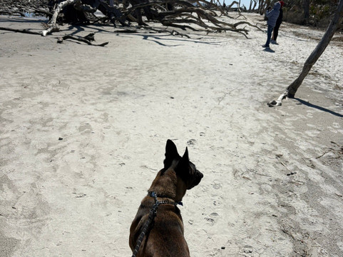 Jekyll Island Historic District-吉柯岛必去景点