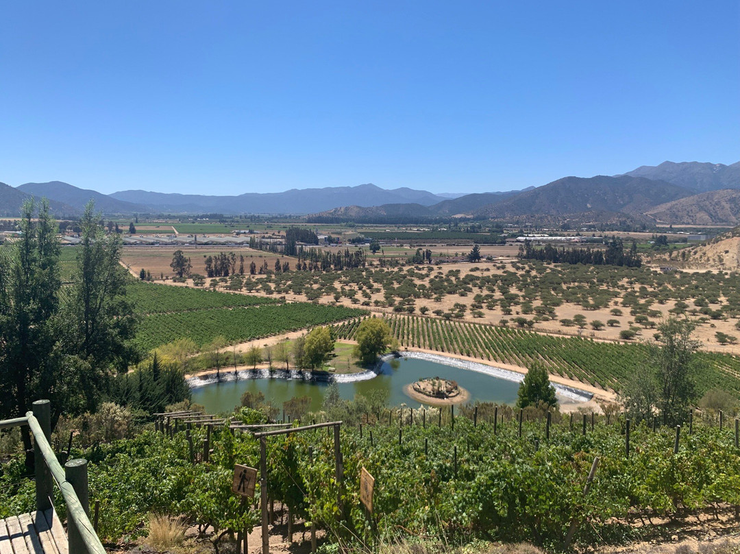 Indomita Casablanca and Maipo Vineyards-卡萨布兰卡必去景点