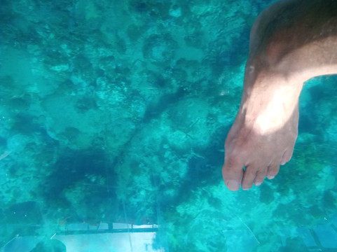 Crystal Boat Guadeloupe-Pointe-Noire必去景点