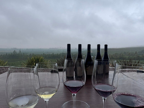 Kingston Family Vineyards-卡萨布兰卡必去景点