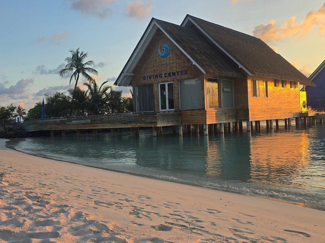 Blue Wave Ifuru By Dive Butler At Ifuru Island Maldives-Ifuru必去景点