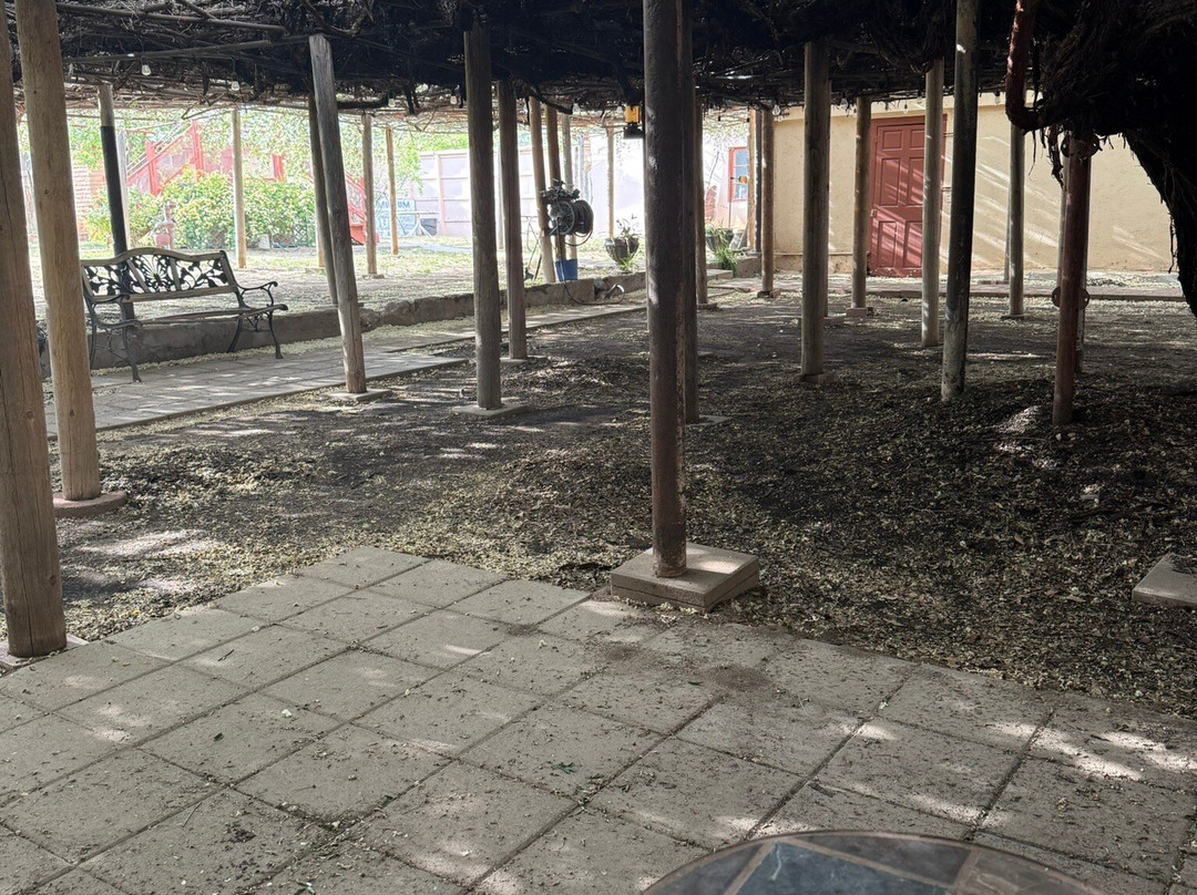 Rose Tree Museum-墓碑镇必去景点