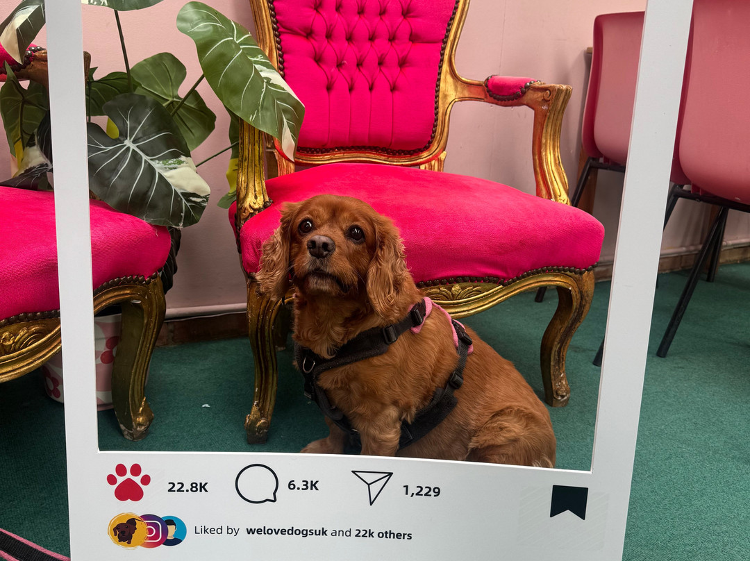 Mad Hatters Pottery Cafe, Arborfield-Arborfield Cross必去景点