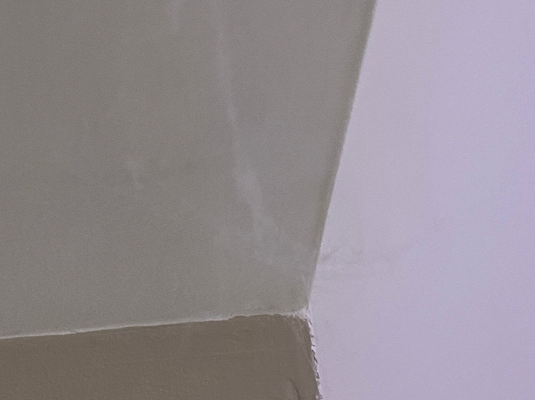 白金汉普瑞米尔酒店主图