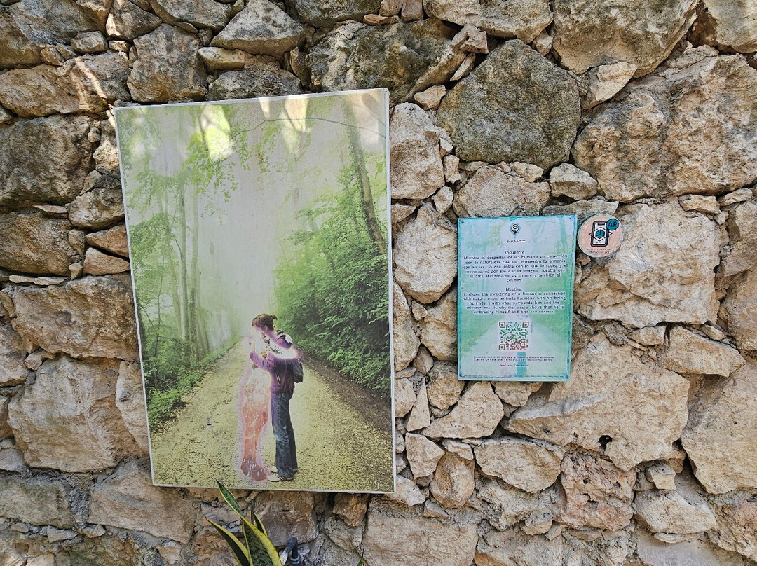 Escultura Ven A La Luz-Tulum Beach必去景点
