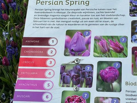 Molen van Groot (Piet)-Alkmaar必去景点