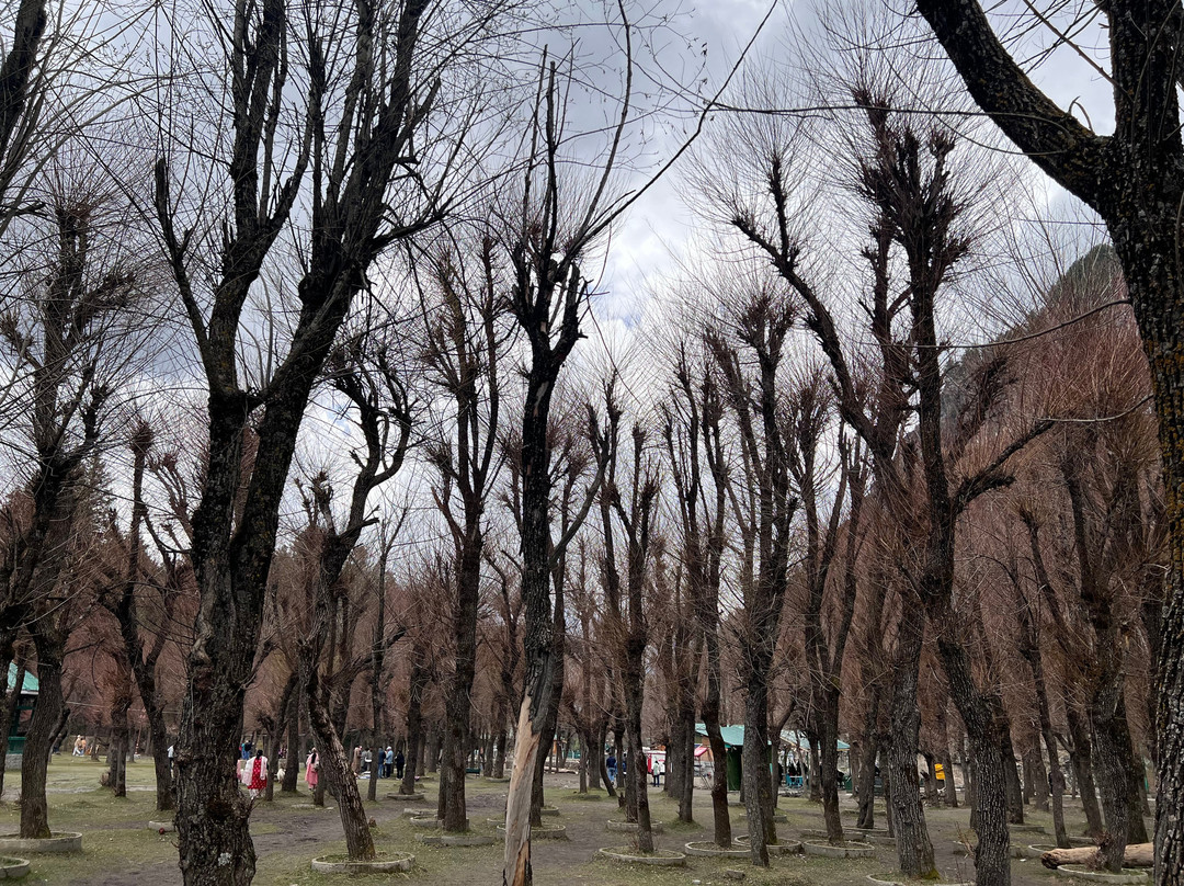 The Western Mountains-Sonamarg必去景点