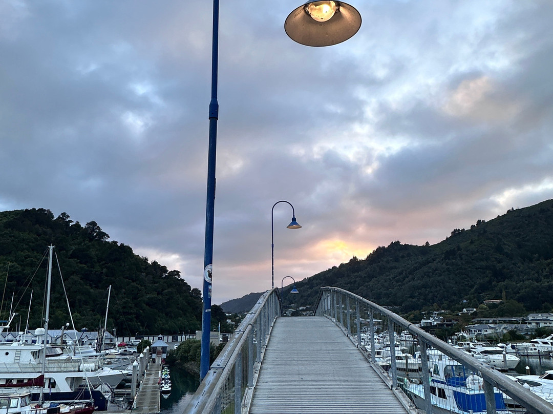 Coathanger Bridge-皮克顿必去景点