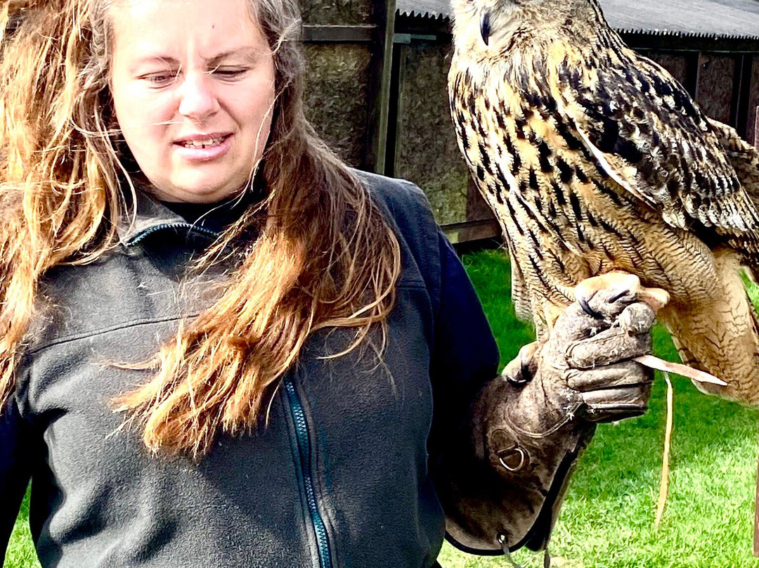 Bird on the Hand Falconry Experiences-Church Langton必去景点
