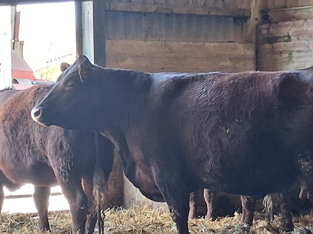 Coombes Farm-Coombes必去景点