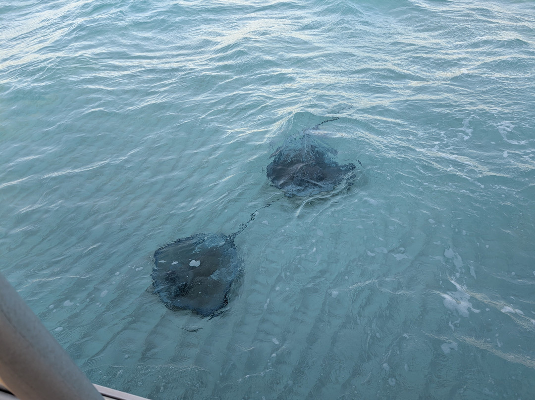 White Sand Water Sports-East End必去景点