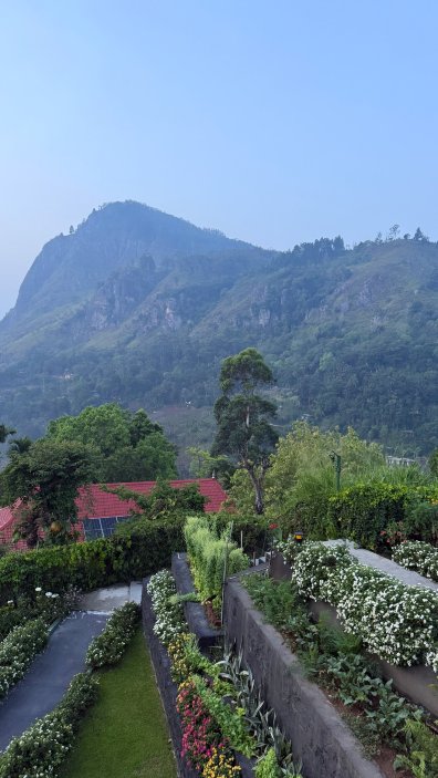 埃勒回声酒店-官方