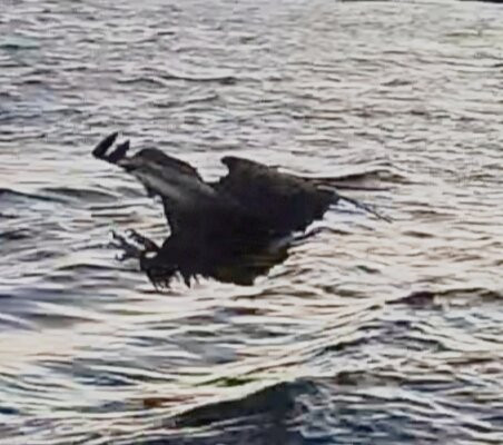 Go2Lofoten-斯沃尔韦尔必去景点