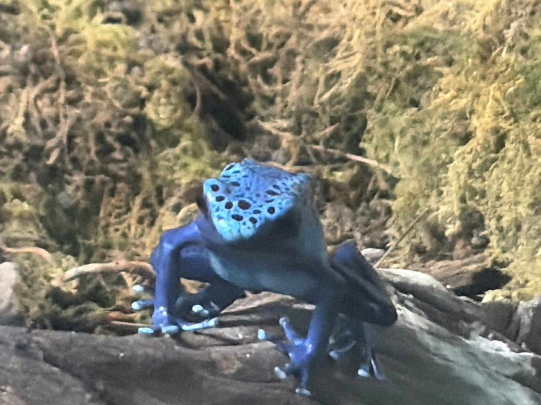 Shepreth Wildlife Park-Shepreth必去景点