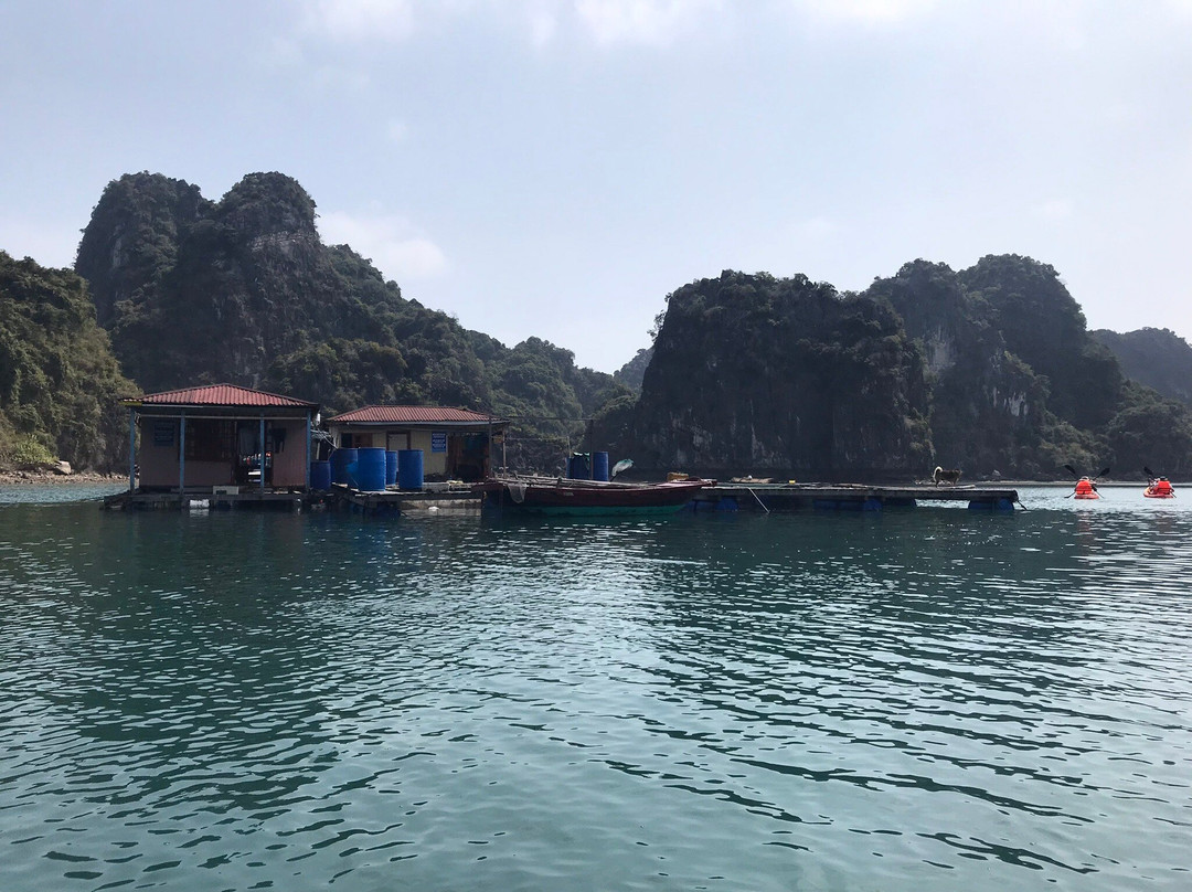 Cua Van Floating Village-下龙湾必去景点