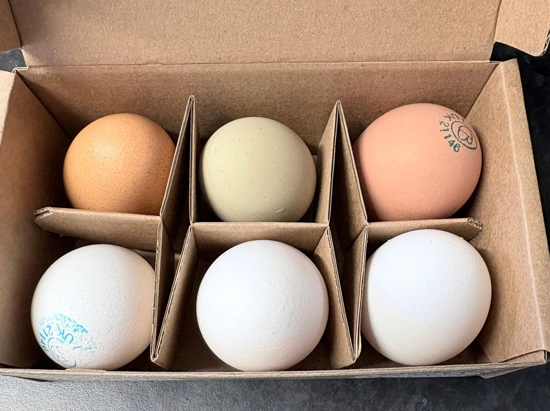 Diddly Squat Farm Shop-奇平诺顿必去景点