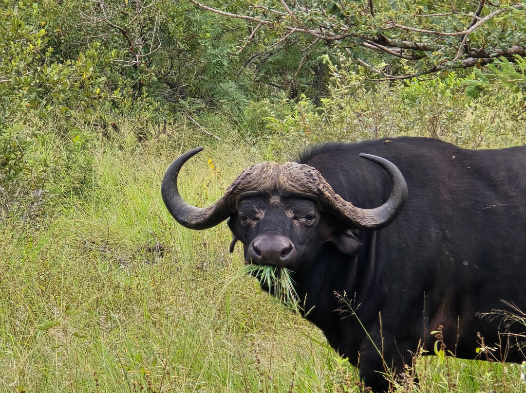 Wild Wings Safaris-克鲁格国家公园必去景点