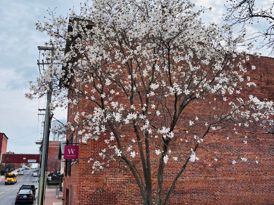 Carroll Creek Linear Park-弗雷德里克必去景点