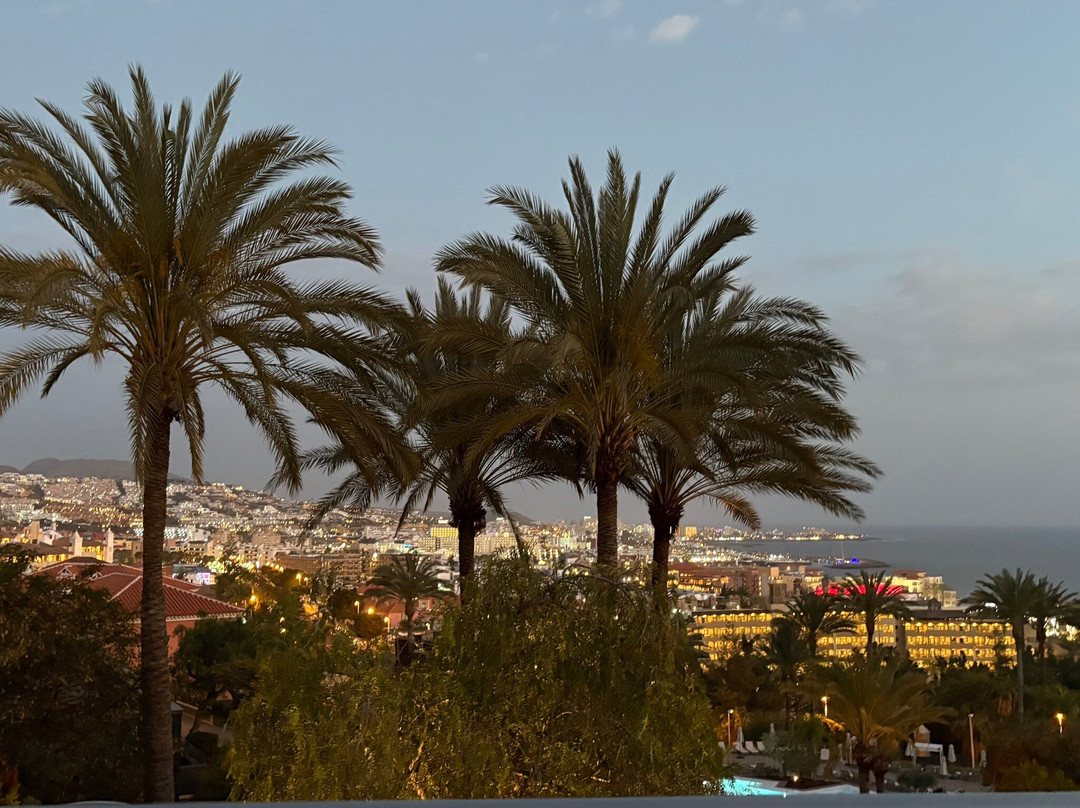 特内里费泰德公园美利亚酒店主图