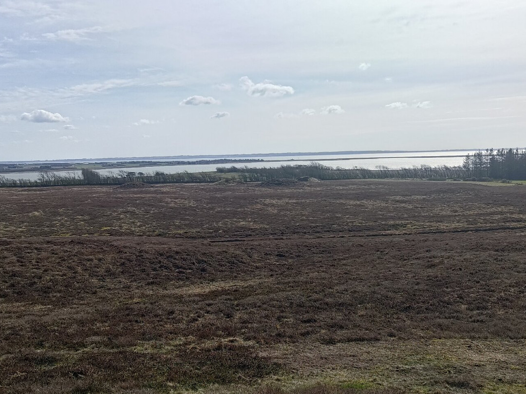 Ydby Hede-Ydby必去景点