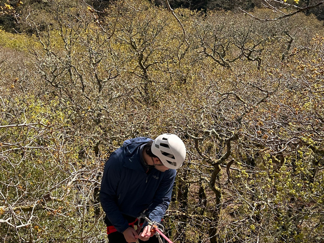Crag 2 Mountain-Buckfastleigh必去景点