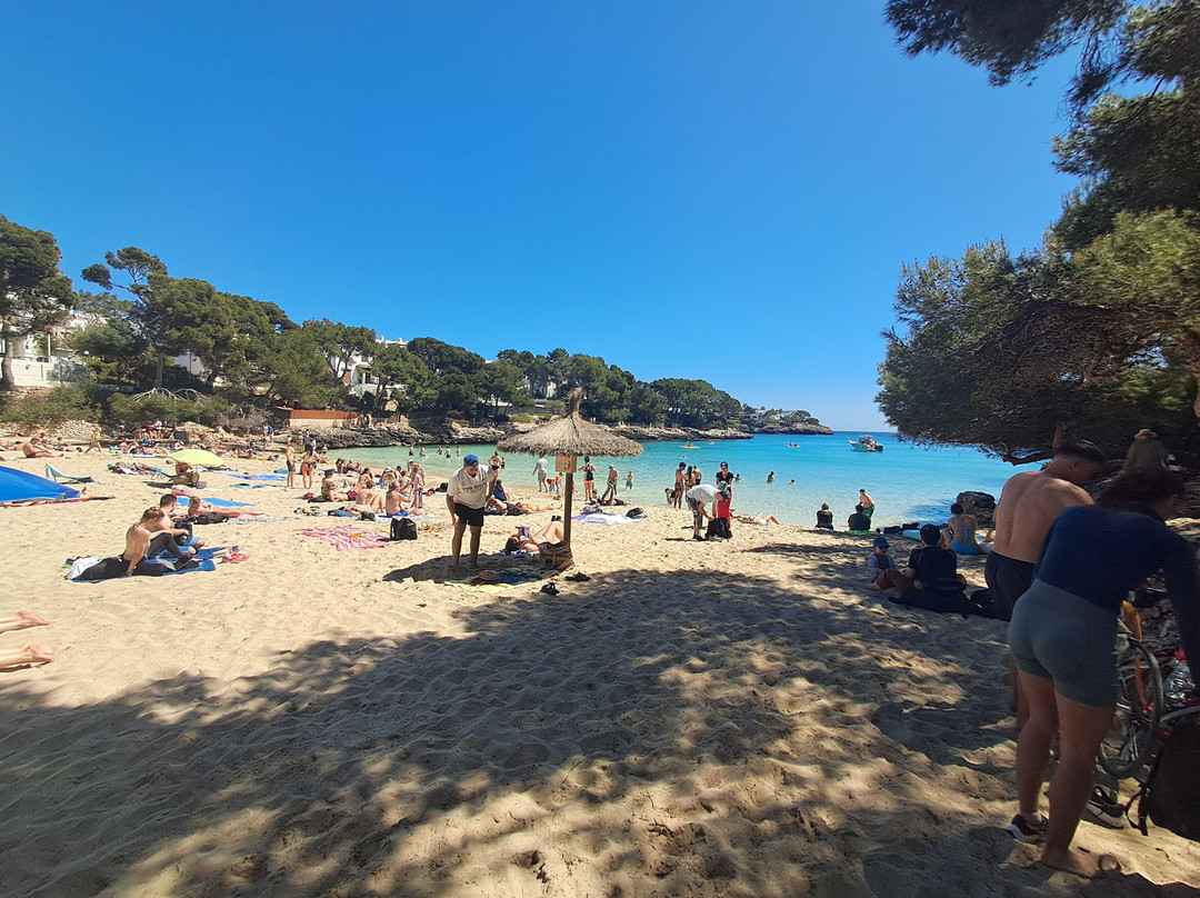 Playa Cala Gran-卡拉多尔必去景点