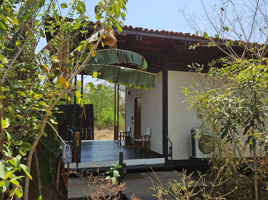 Bori Safari Lodge主图