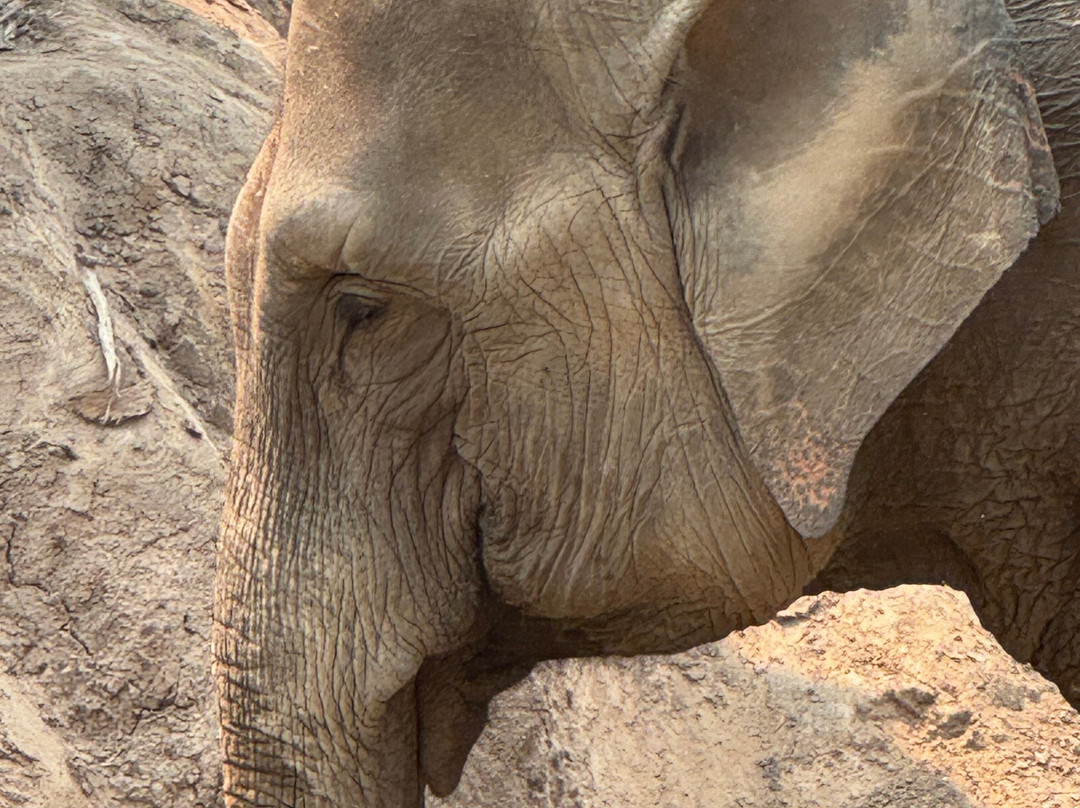 Chang Chill-Mae Win必去景点